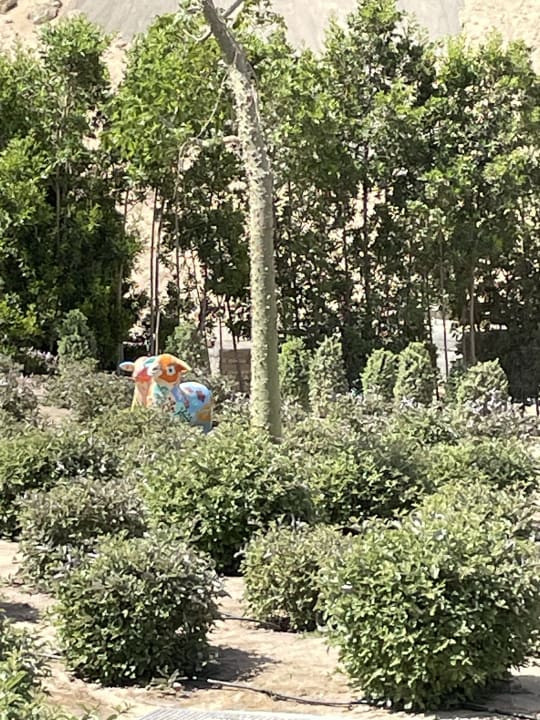 Gartenanlage Pickalbatros Villaggio Resort - Portofino