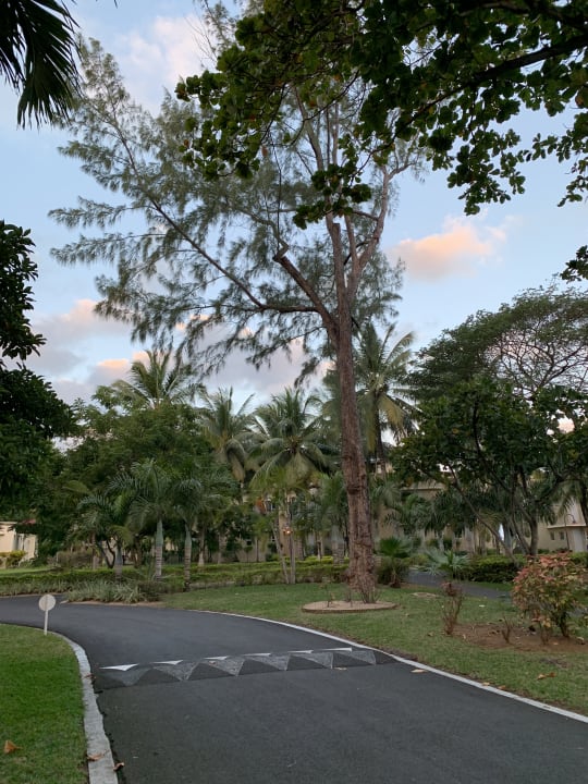 Gartenanlage Shandrani Beachcomber Resort & Spa