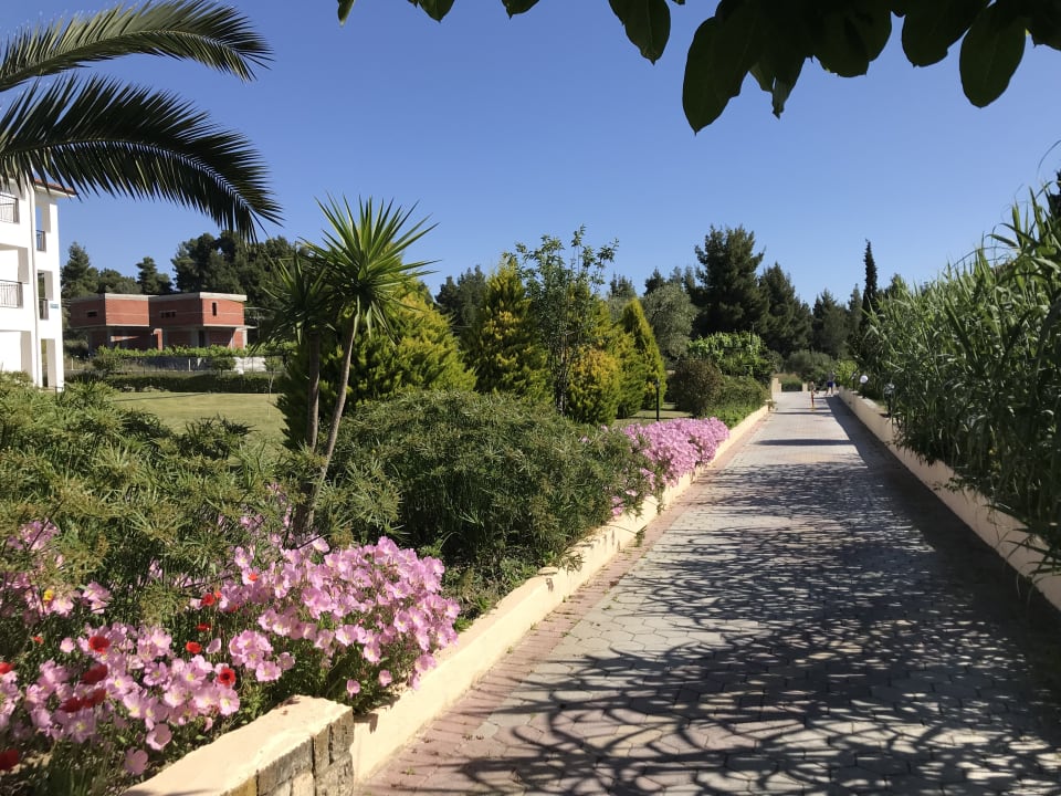 Gartenanlage Hotel Chrousso Village