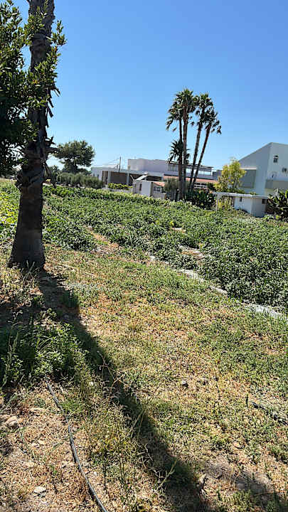 Zimmer Ilios K Village Resort