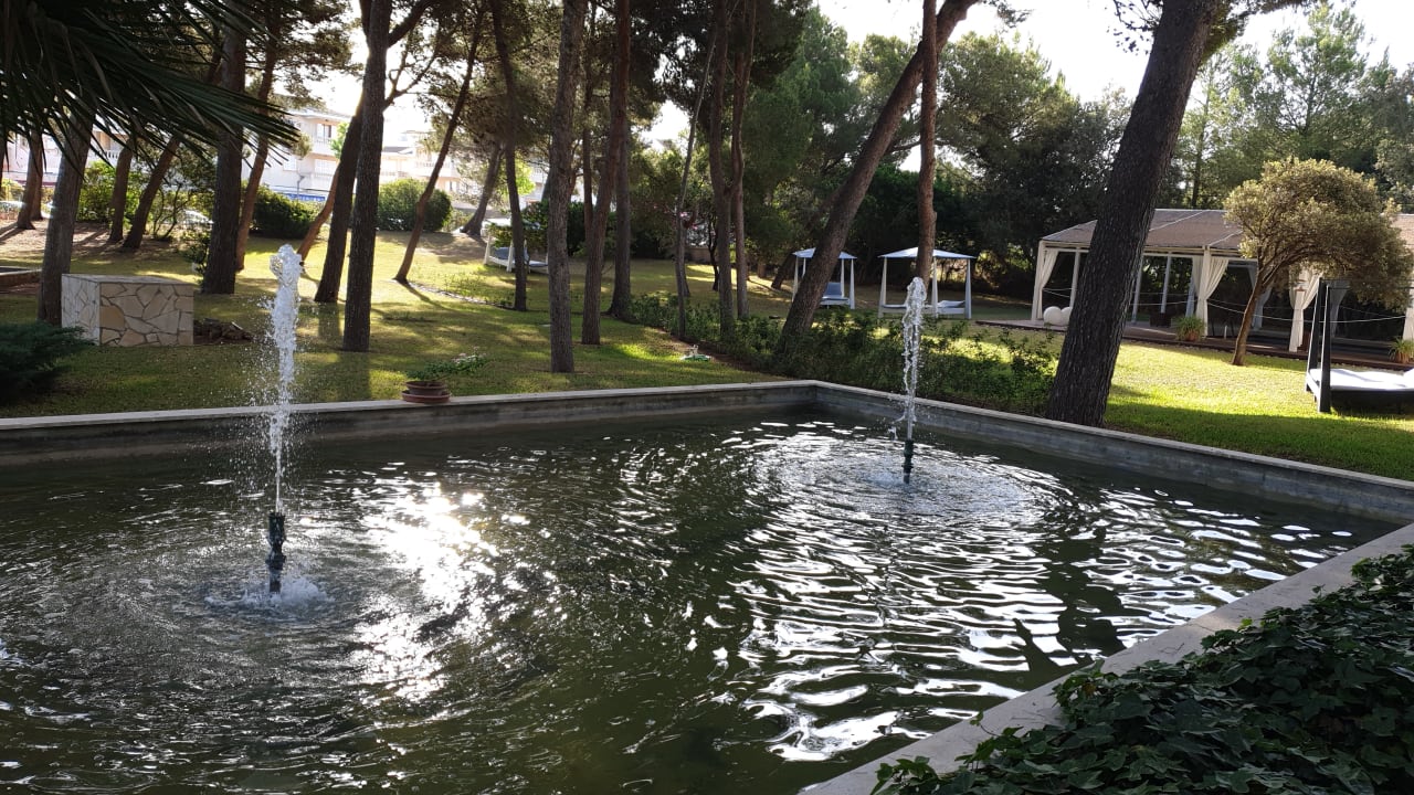 Gartenanlage Hotel Zafiro Alzinar Mar