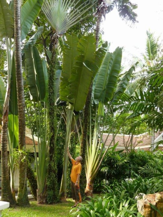 Garten Santiburi Koh Samui