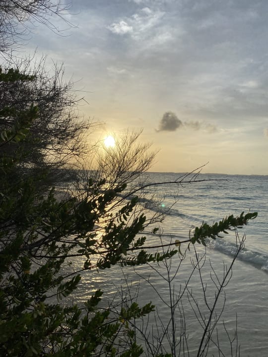 Ausblick Embudu Village