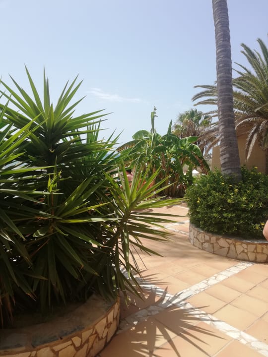 Gartenanlage SBH Monica Beach Resort