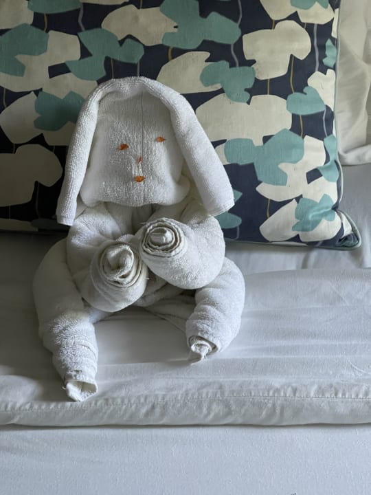 Zimmer Friday Attitude