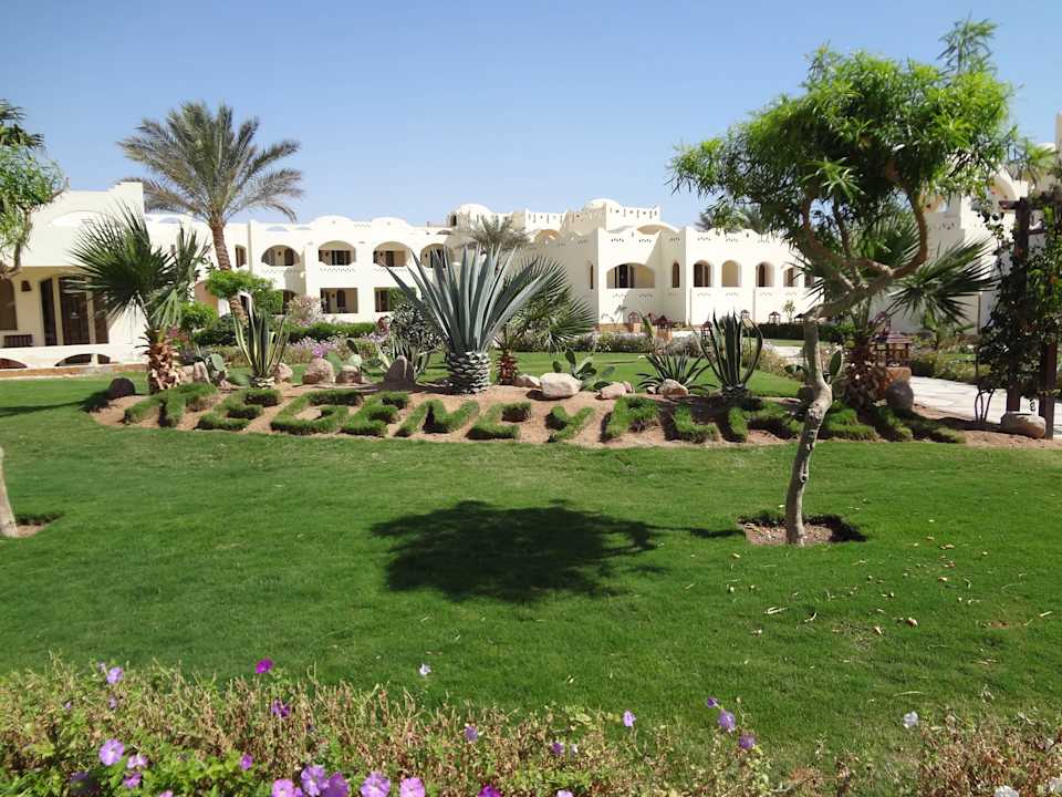 Название отеля Regency Plaza Aqua Park & Spa