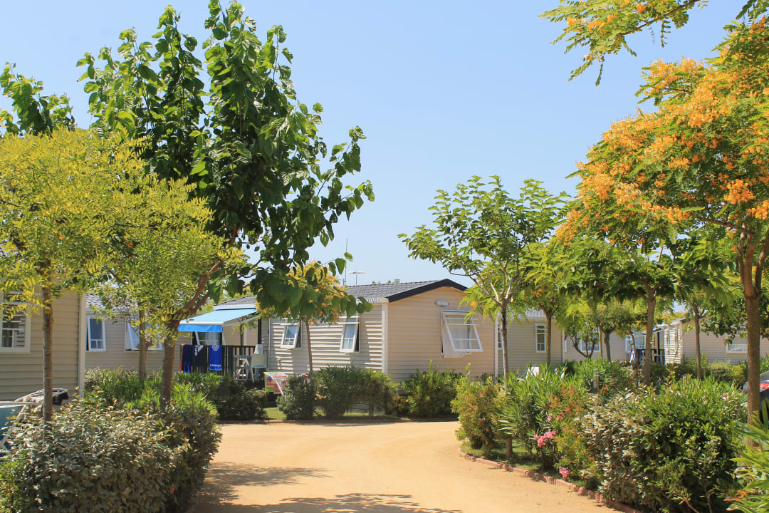 Ausblick Camping Resort Els Pins