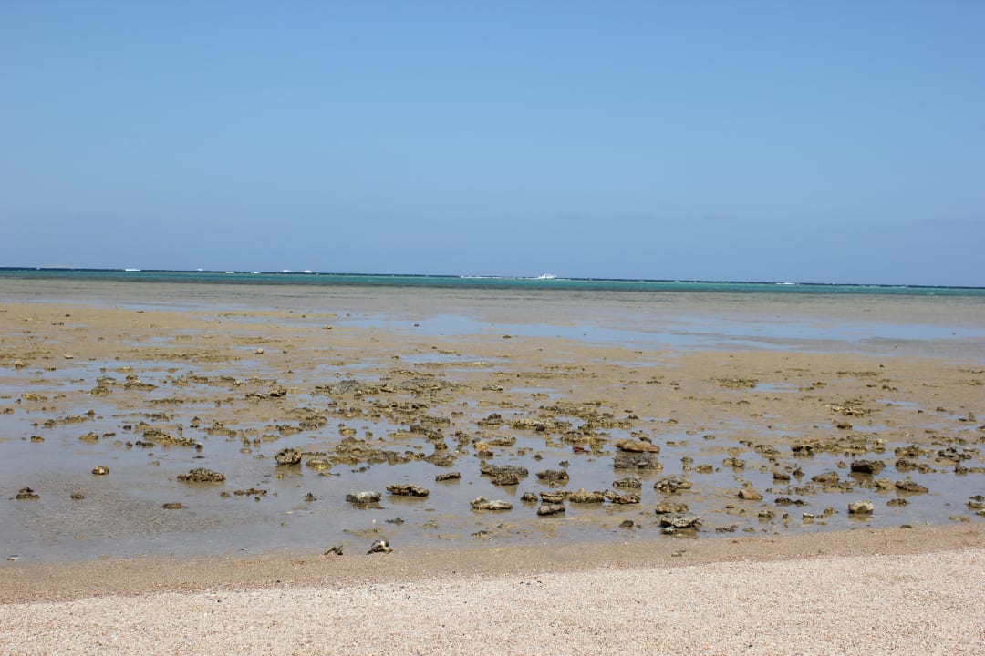 Отлив Stella Garden Resort & Spa, Makadi Bay