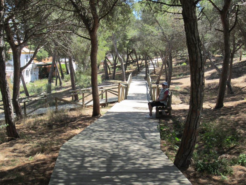 Wege im Pinienwald Hotel Playa de la Luz