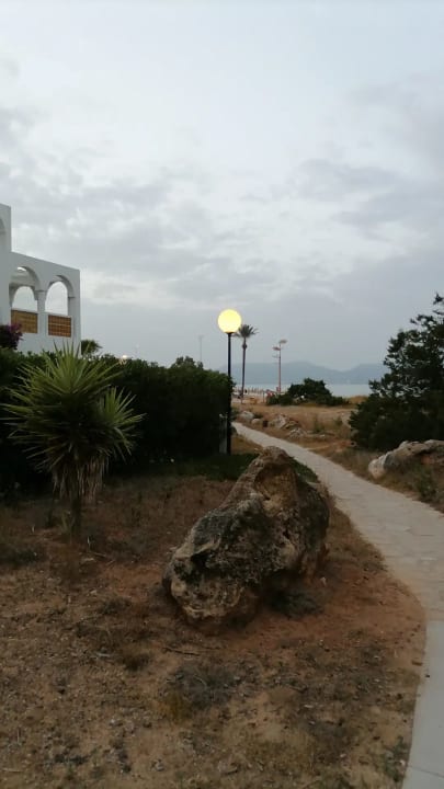 Gartenanlage Hipotels Bahía Cala Millor