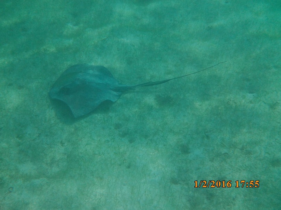 Strand Akumal Bay Beach & Wellness Resort