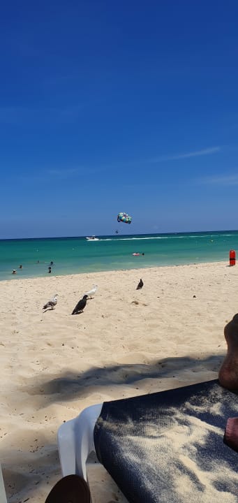 Strand Grand Palladium Select Bávaro Resort & Spa