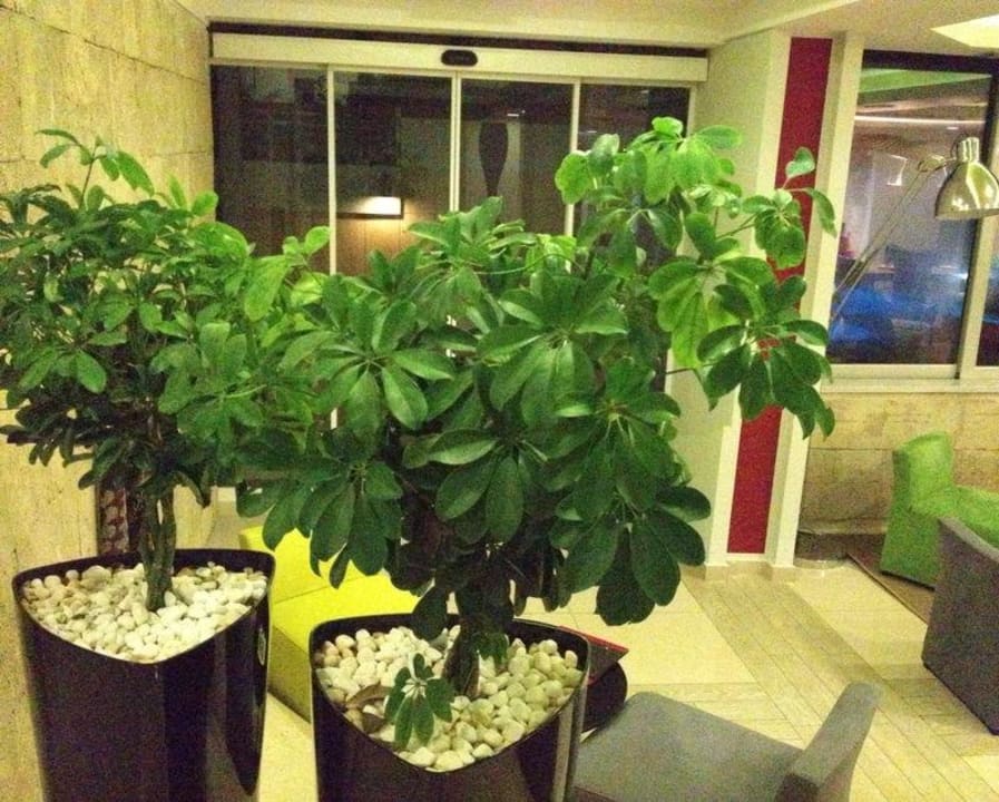 Eingang Aquamare City & Beach Hotel