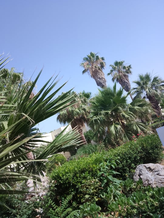Gartenanlage Dessole Dolphin Bay Resort
