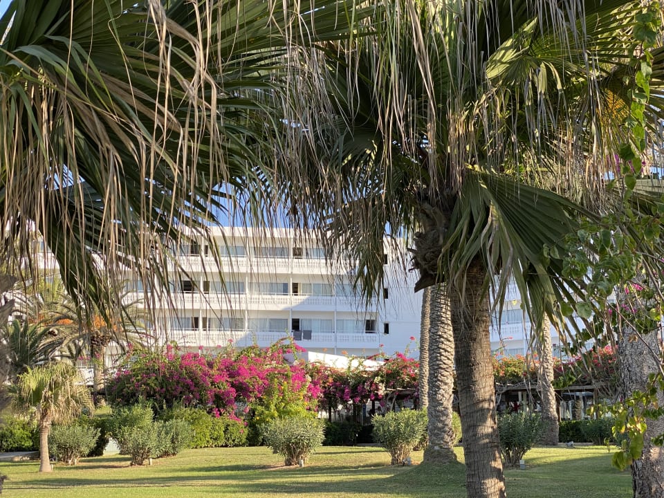 Gartenanlage Hotel Nissi Beach Resort