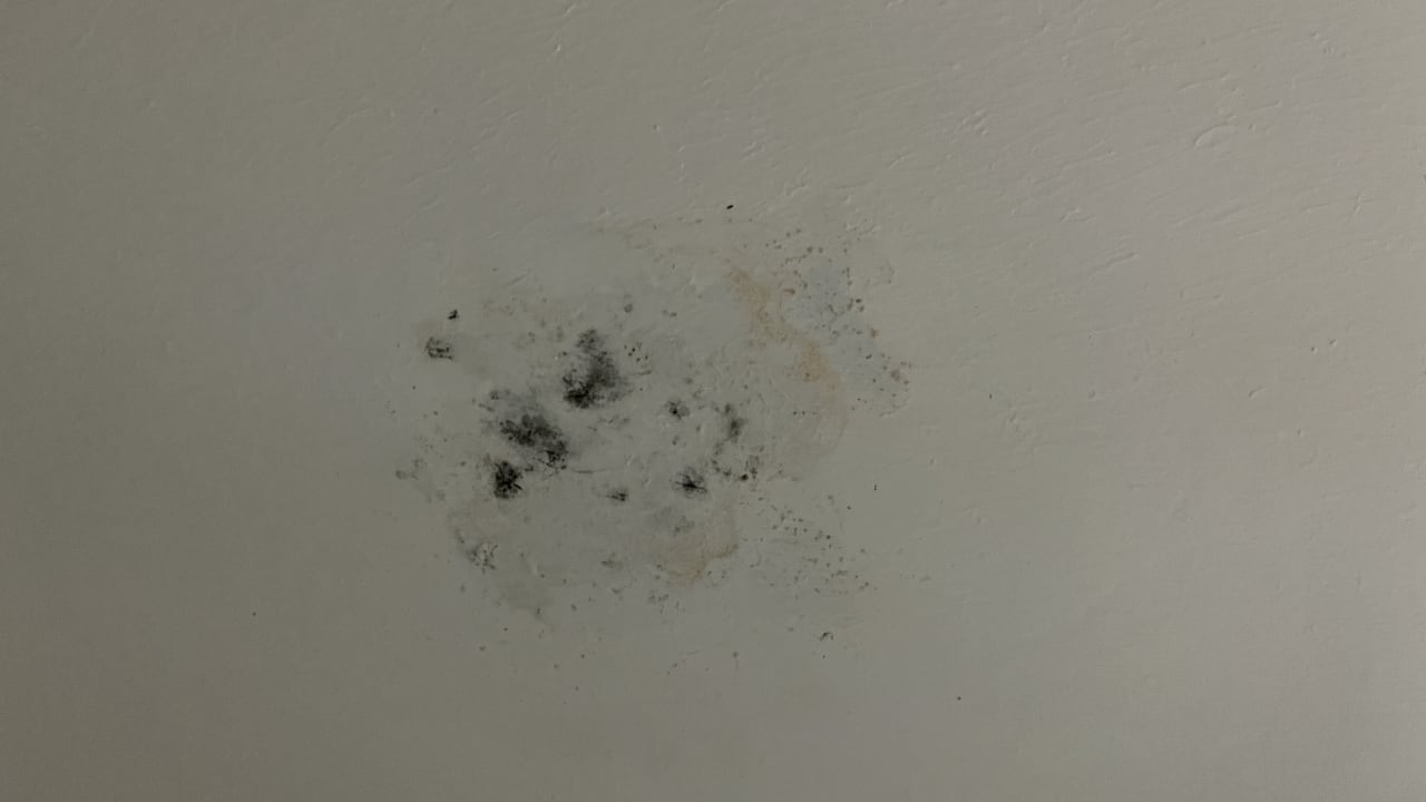 Zimmer Kefaluka Resort Bodrum