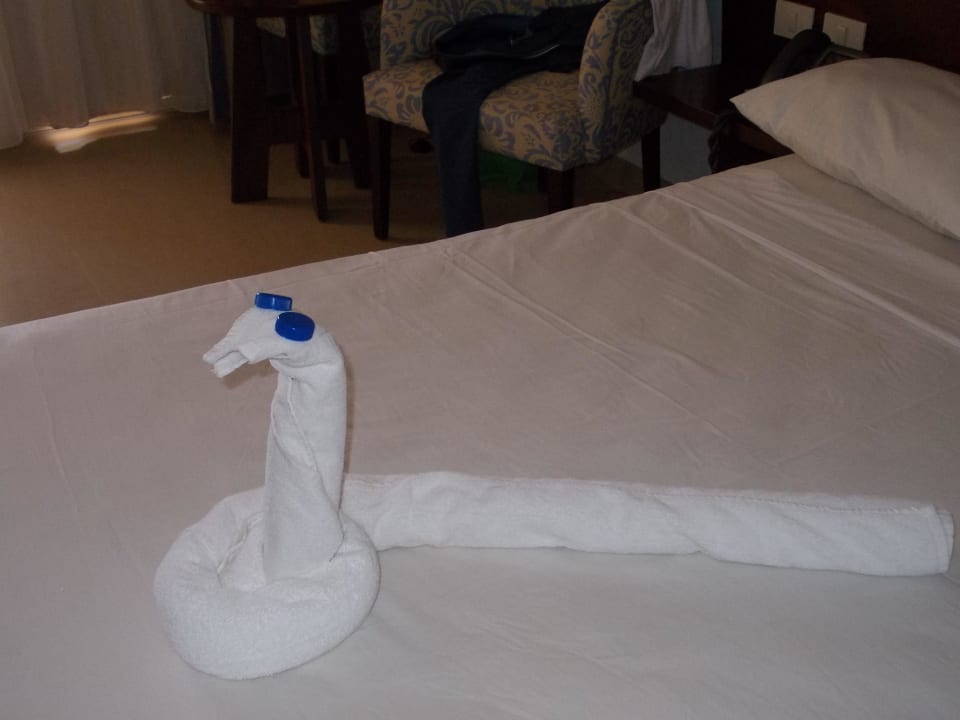 В номере! Stella Garden Resort & Spa, Makadi Bay