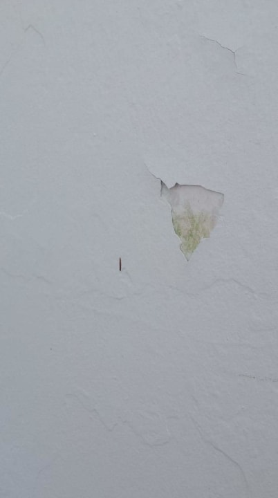 Außenansicht Hotel Nesrine