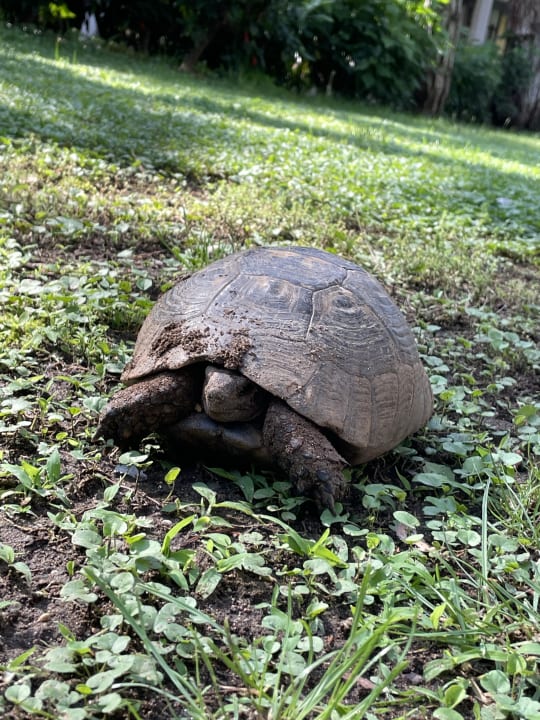 Gartenanlage ROBINSON ÇAMYUVA
