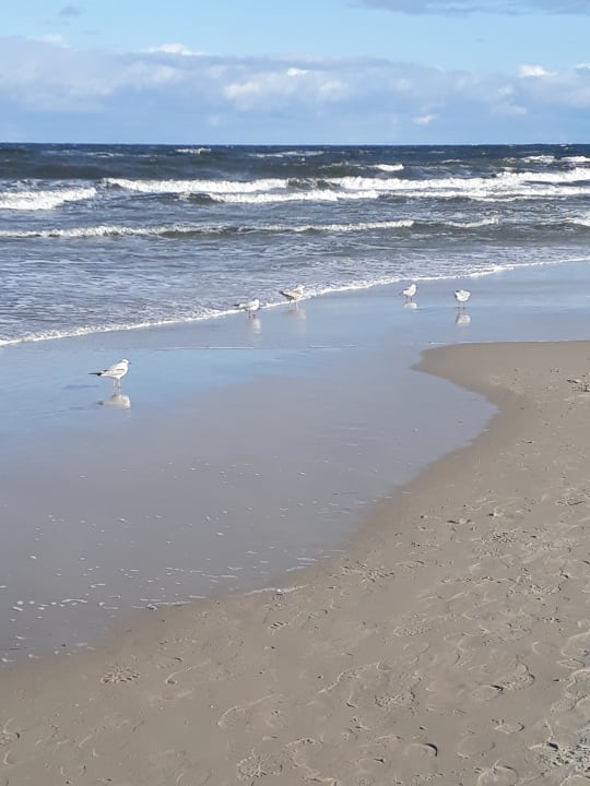 Strand Hotel Cristal SPA