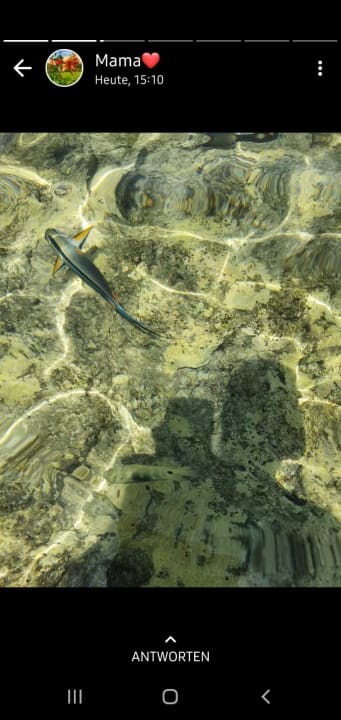 Strand Pickalbatros Citadel Resort