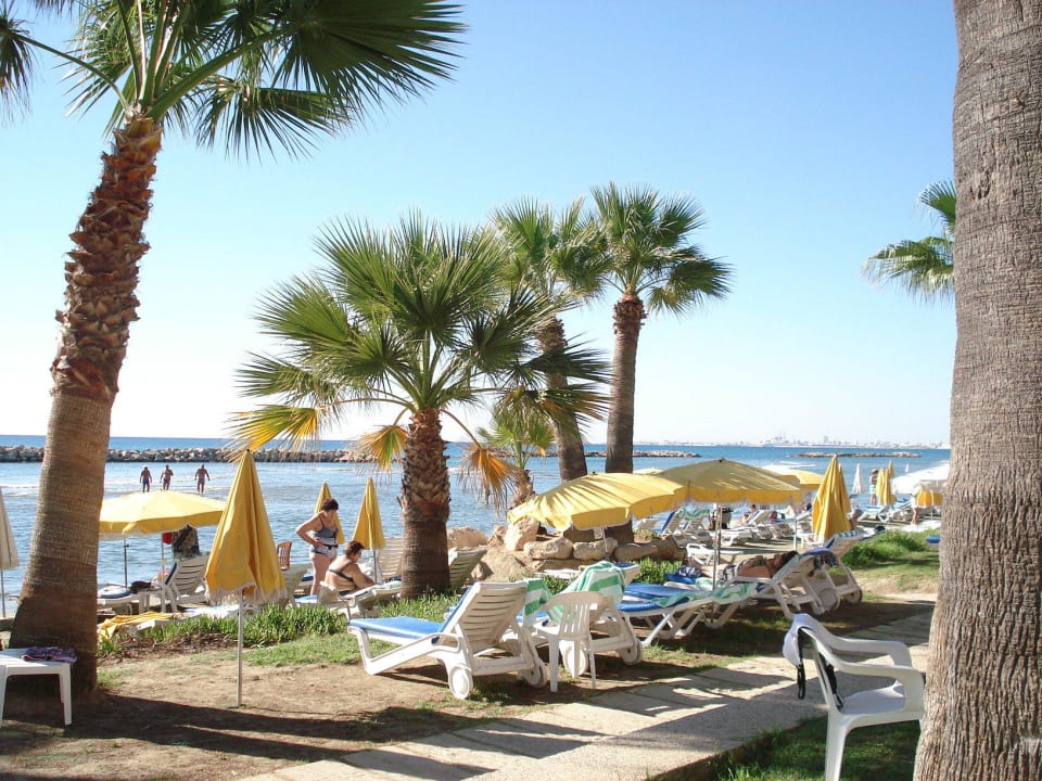 Südseeflair wegen der vielen Palmen Palm Beach Hotel & Bungalows