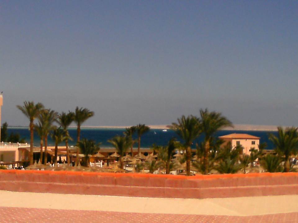 Blick von  unserem Zimmer  Beach Albatros Resort
