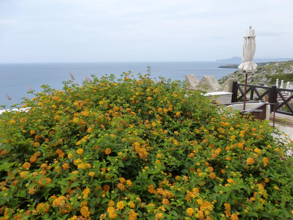 Alles top gepflegt Hotel Kalithea Horizon Royal