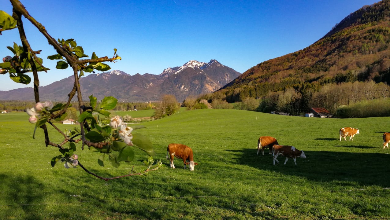 Ausblick Ferienwohnung Hoderhof