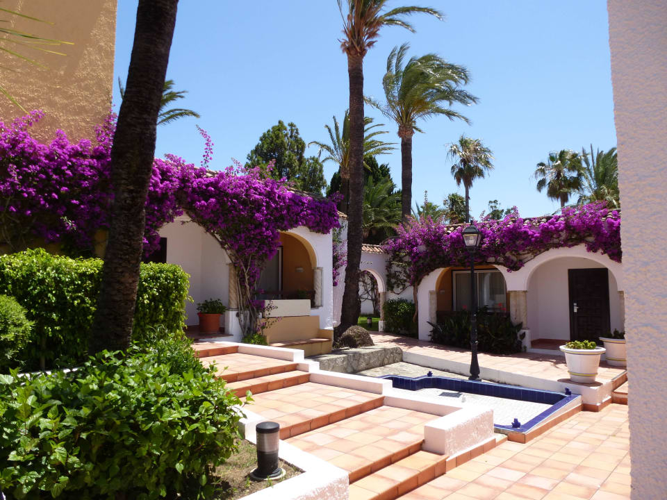 Welch eine Blütenpracht Meliá Zahara Resort & Villas