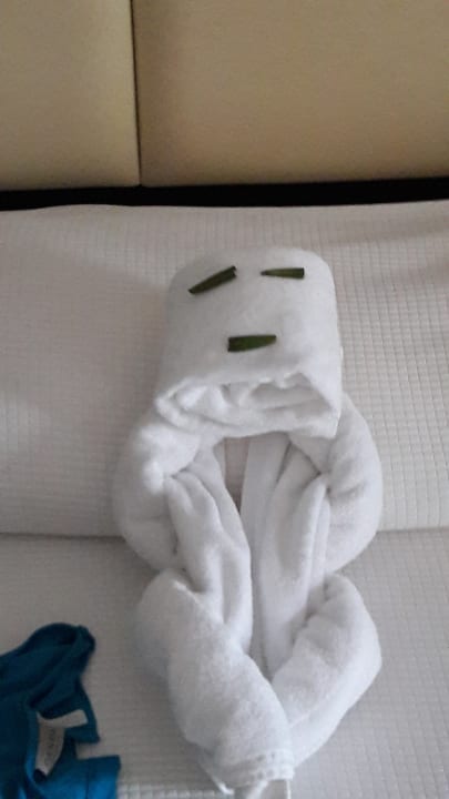 Zimmer TUI BLUE Oceanis Beach and Spa Resort