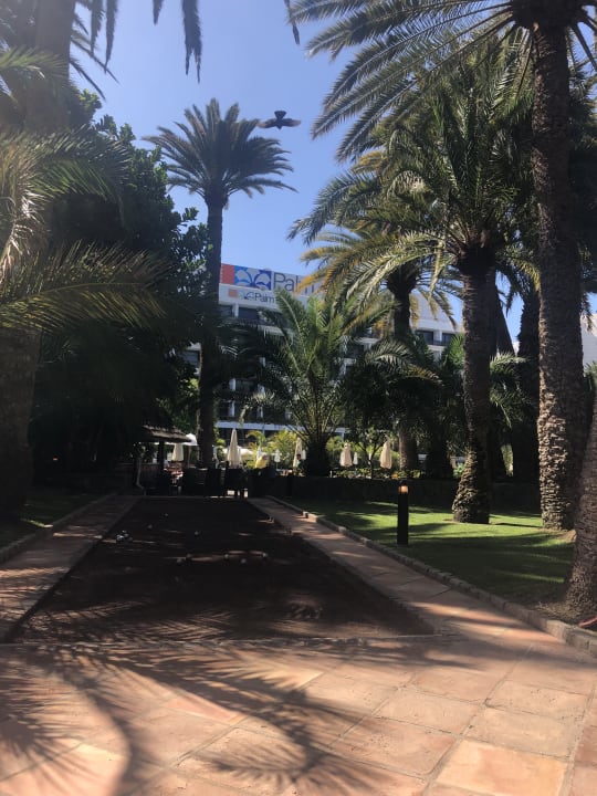Gartenanlage Seaside Hotel Palm Beach