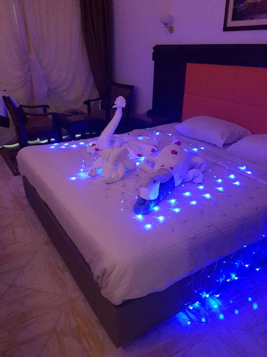 Zimmer  Beach Albatros Resort