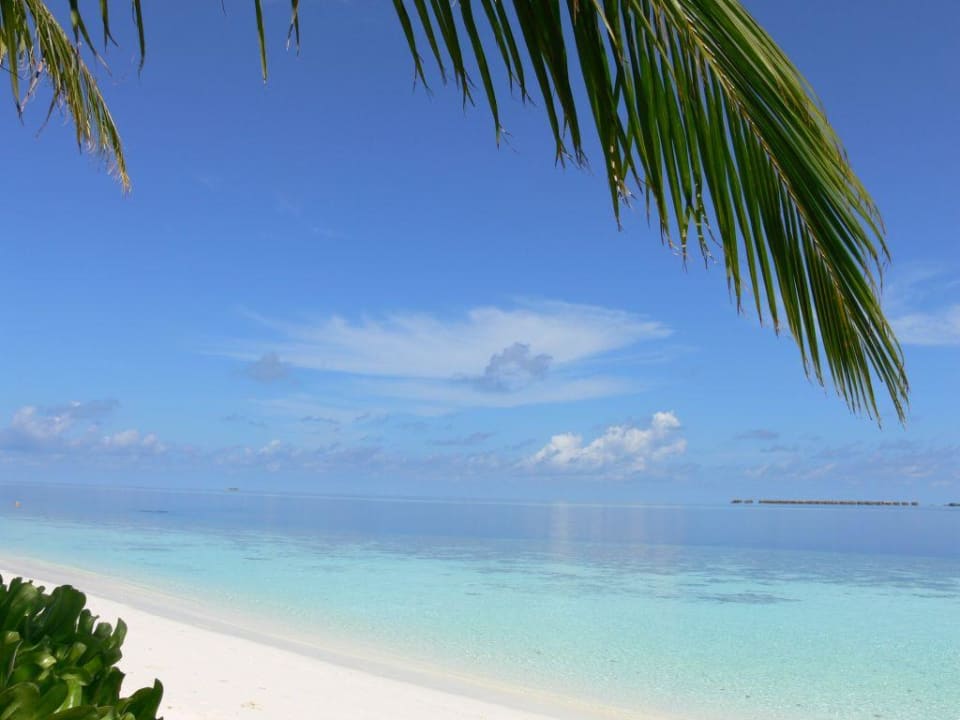 Einfach ein Traum Vilamendhoo Island Resort & Spa