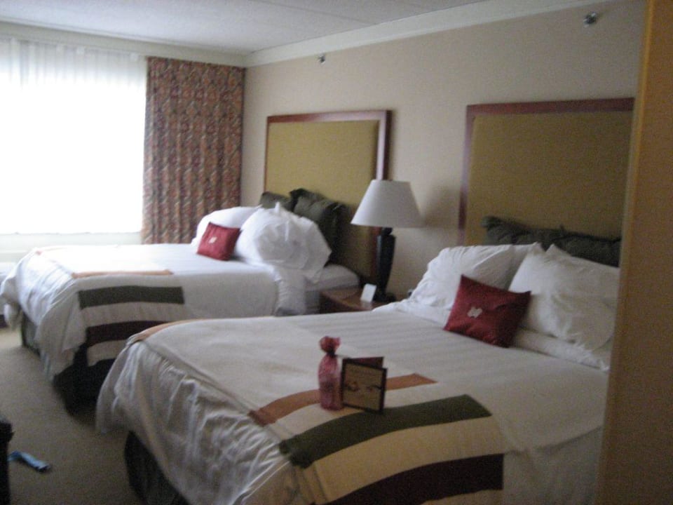 Zimmer Hotel Sheraton at the Falls