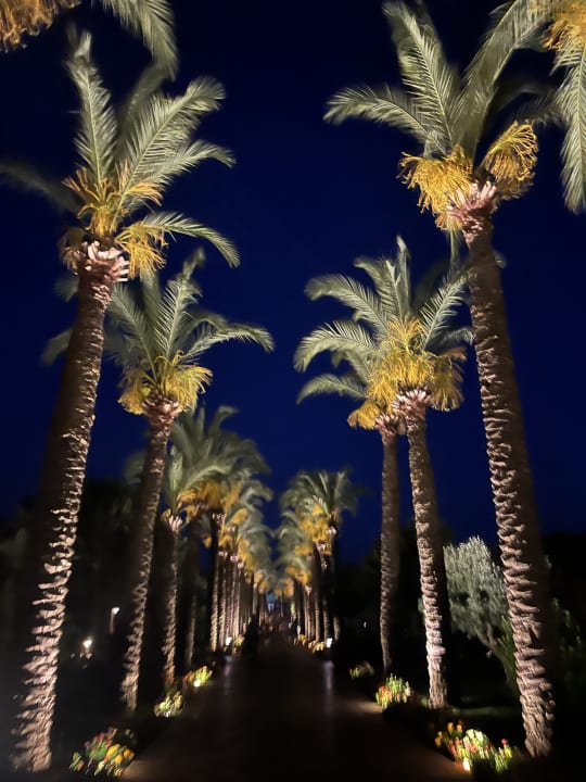 Gartenanlage TUI BLUE Palm Garden