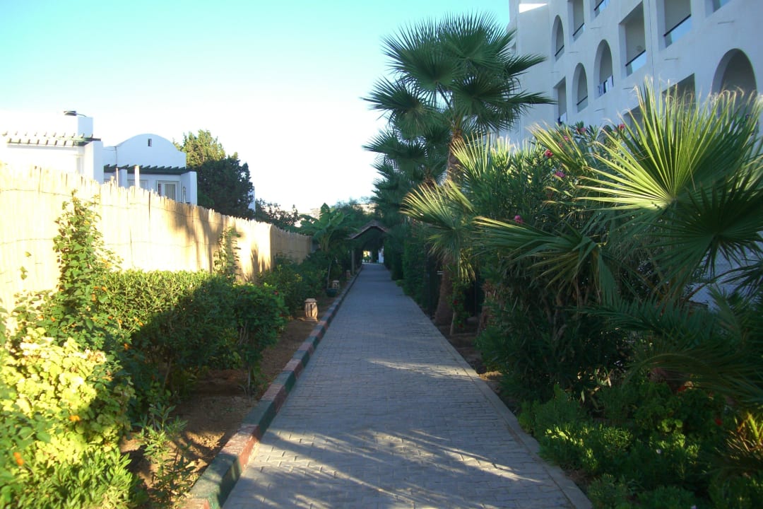 Weg zum Strand Hotel Royal Nozha