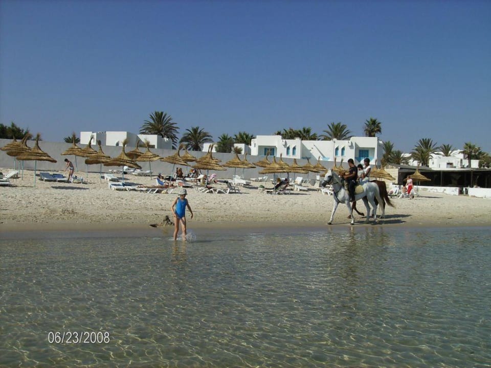 Plaża polowanie na pustelniki Ruspina Beach Resort