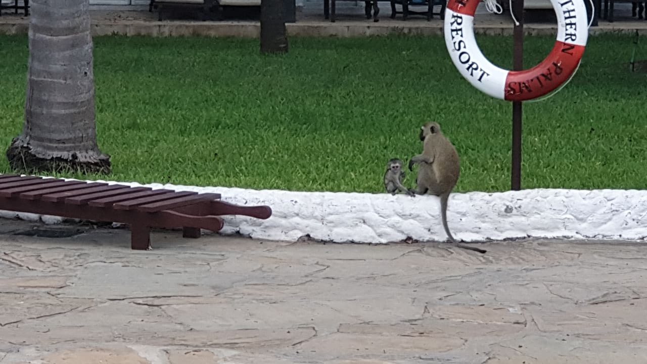 Außenansicht Hotel Southern Palms Beach Resort