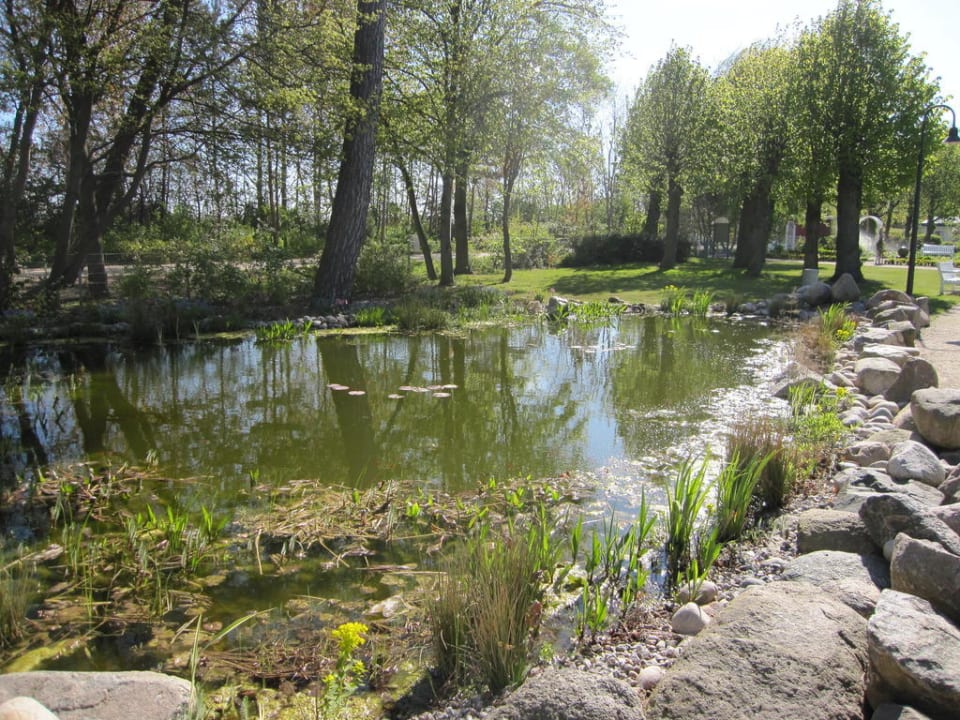 Perfekter Garten Seehotel Großherzog von Mecklenburg