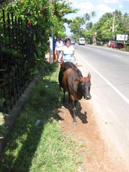 Strasse vor dem Hotel Hotel Jetwing Tropical Villas