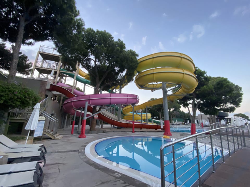 Pool Papillon Ayscha