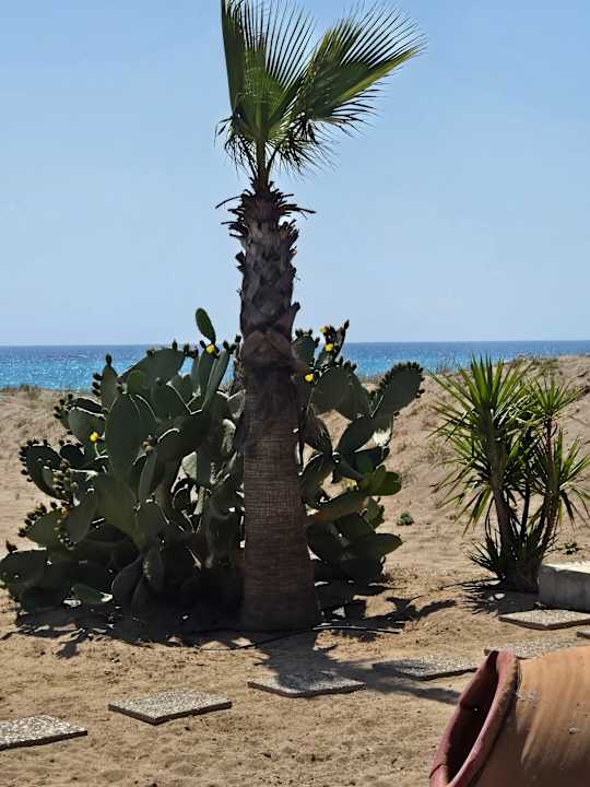 Ausblick Önder Yildiz Hotel