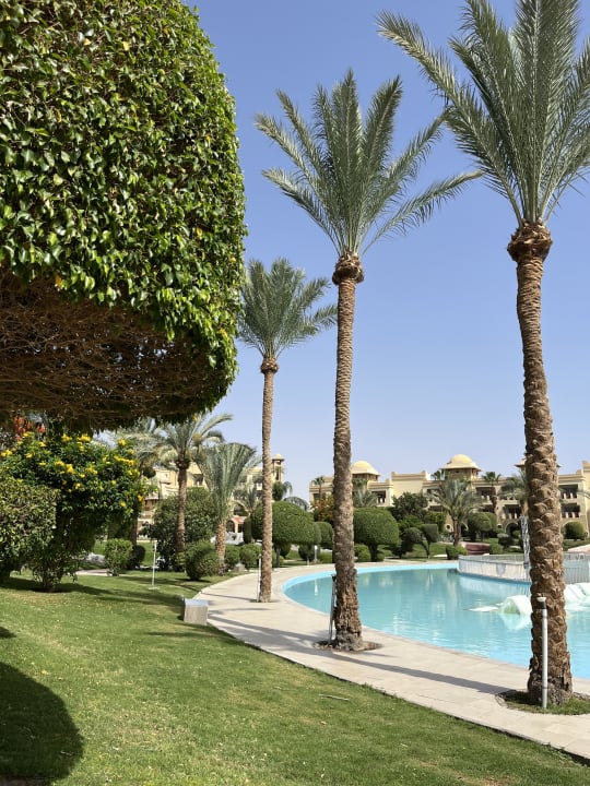 Pool Serenity Alpha Beach