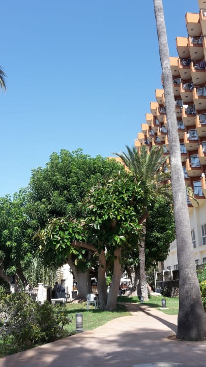 Gartenanlage HSM Canarios Park