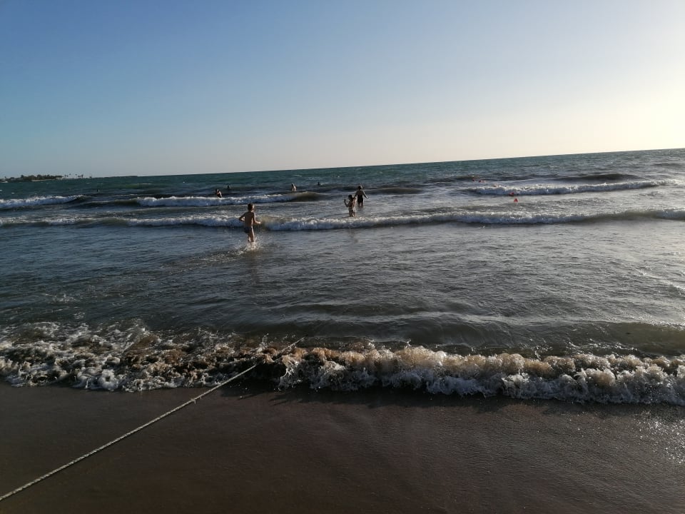 Strand Side Star Elegance