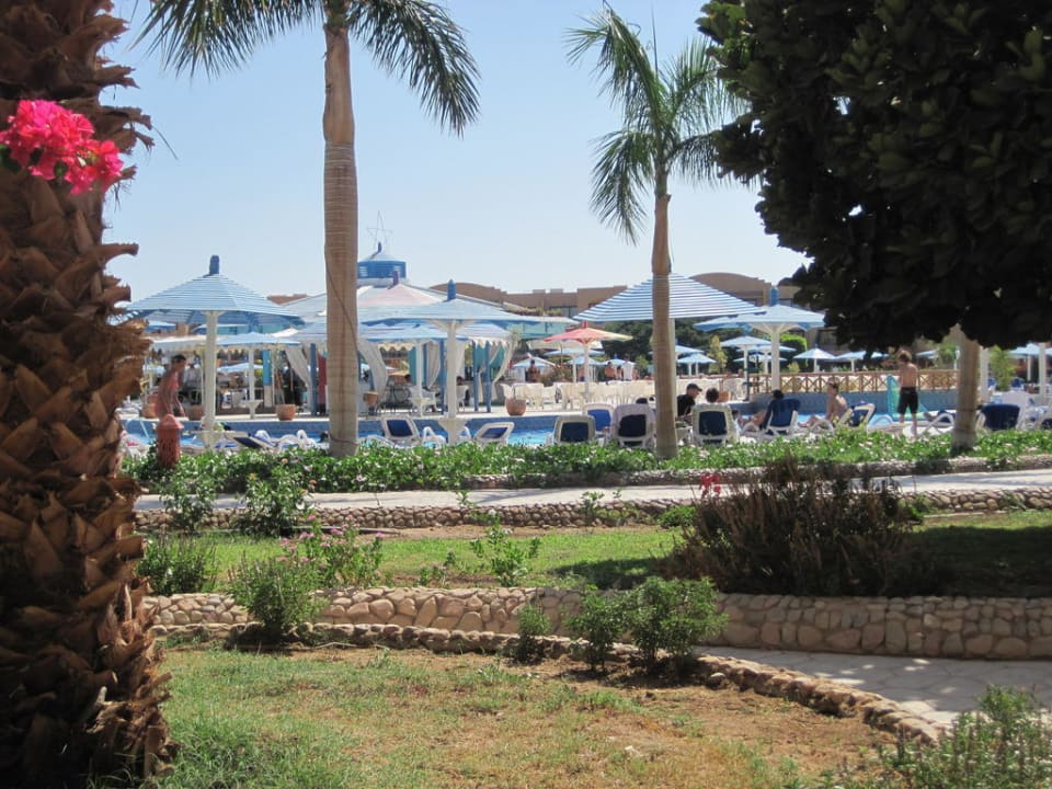 Blick zum Pool / Garten Ali Baba Palace Hotel