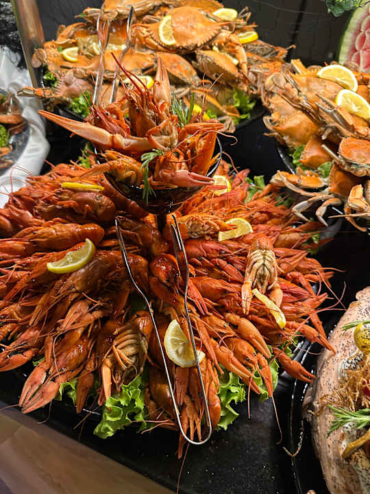 Gastro Delphin BE Grand