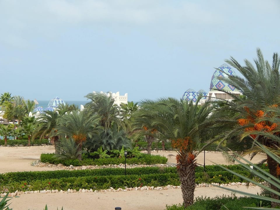 Palmen Hotel Riu Karamboa