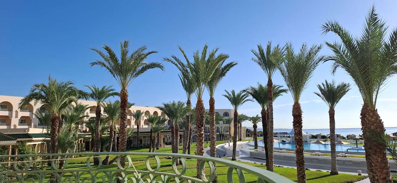 Ausblick Iberostar Waves Averroes